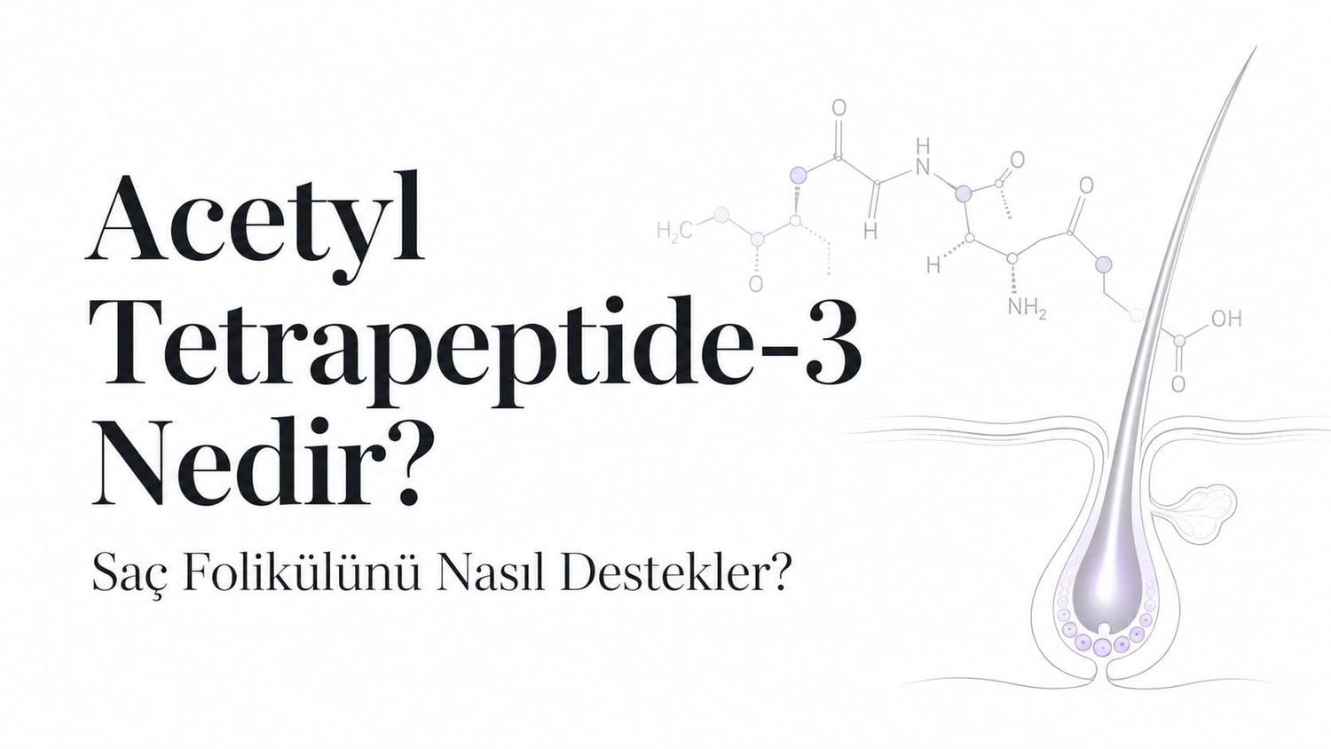 Acetyl Tetrapeptide-3 Nedir? Saç Folikülünü Nasıl Destekler?