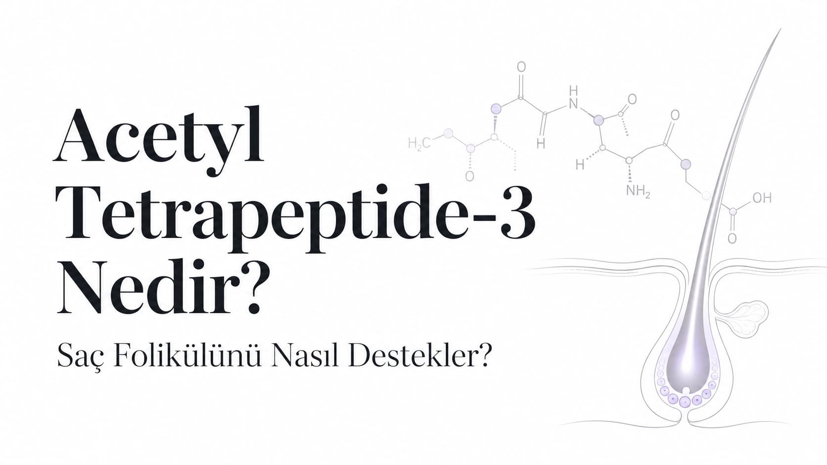 Acetyl Tetrapeptide-3 Nedir? Saç Folikülünü Nasıl Destekler?
