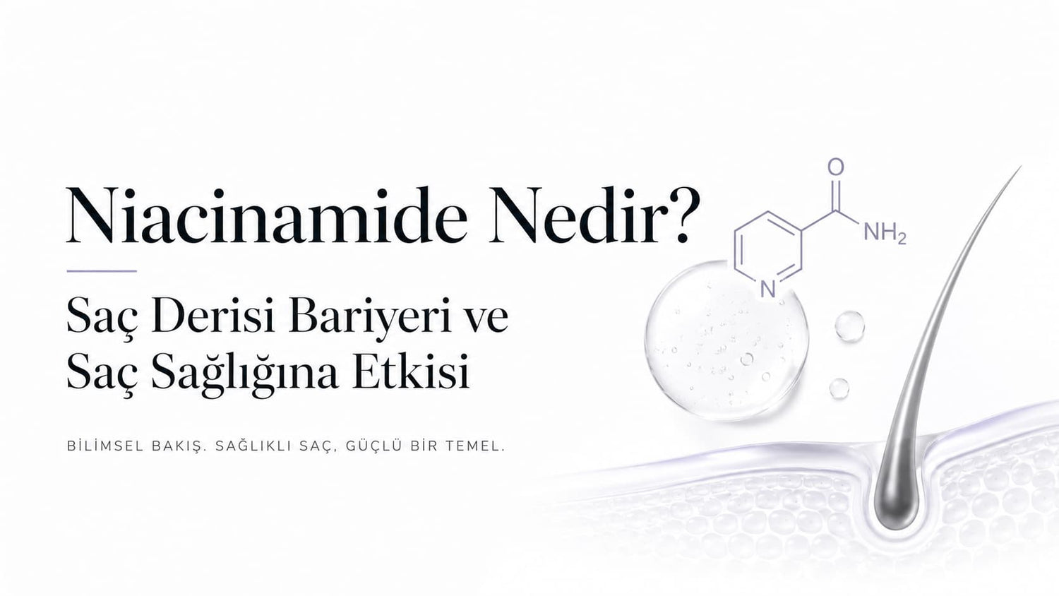 Niacinamide Nedir? Saç Derisi Bariyeri ve Saç Sağlığına Etkisi