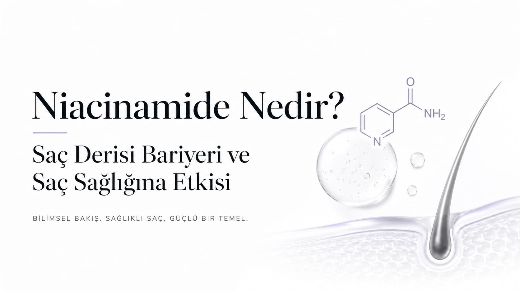 Niacinamide Nedir? Saç Derisi Bariyeri ve Saç Sağlığına Etkisi